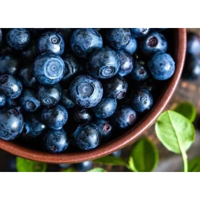 种植蓝莓小技巧