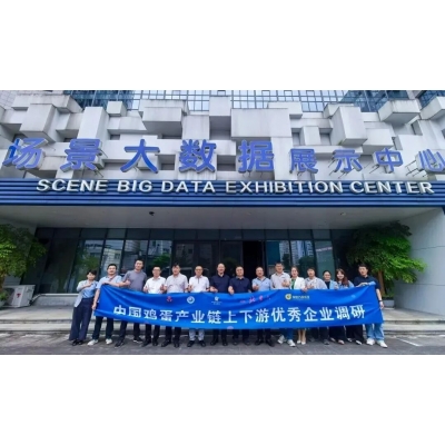 北京网春深入贵州蛋鸡标杆场，见证精准养殖方案